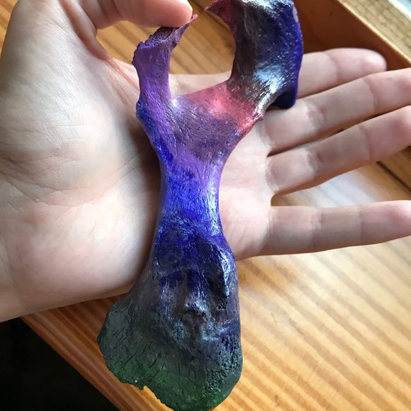 Rainbow pelvic bone - Picture 3 of 4